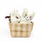 ベビーギフト・Organic Cotton (Oh dear) S